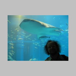 21 z rekinem w tle.html